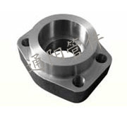 SAE Flange