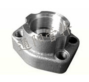 SAE Flanges