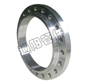 Large Diameter Steel Flange